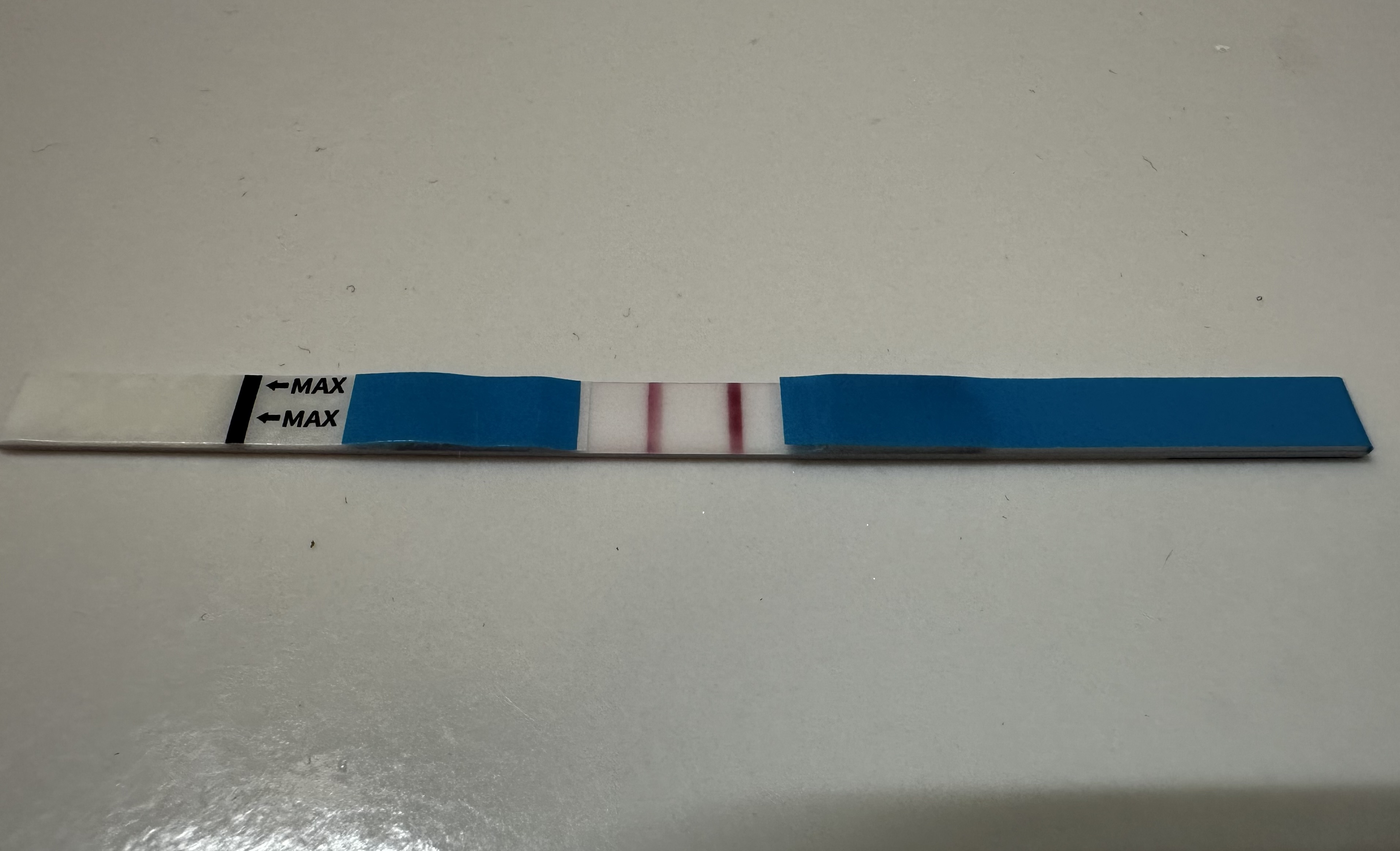 049ff3adc65d9.jpg
