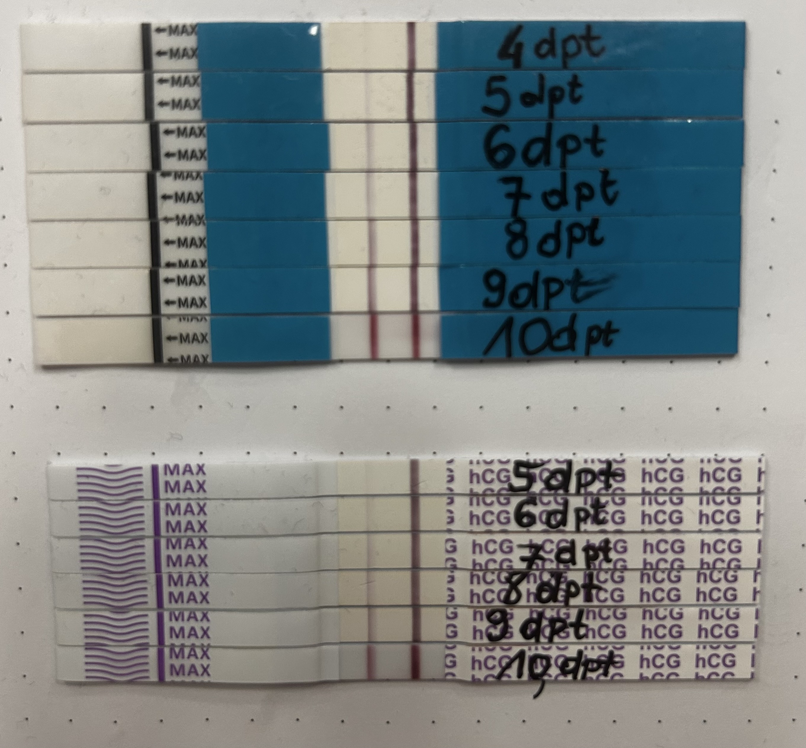 07d40eba00073.jpg