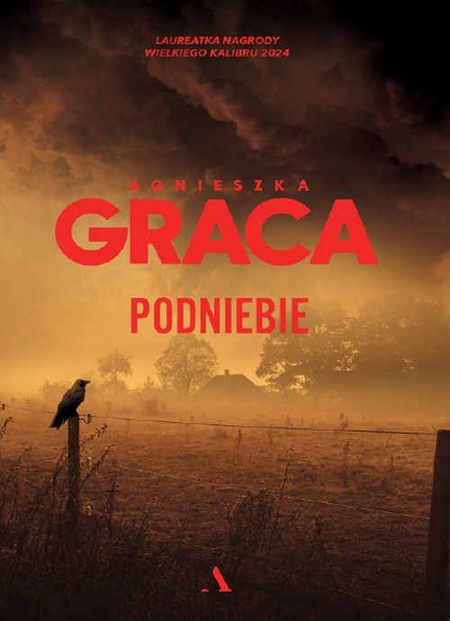 Podniebie. Iga Bagińska i Igor Szot (Tom 2) - Agnieszka Graca