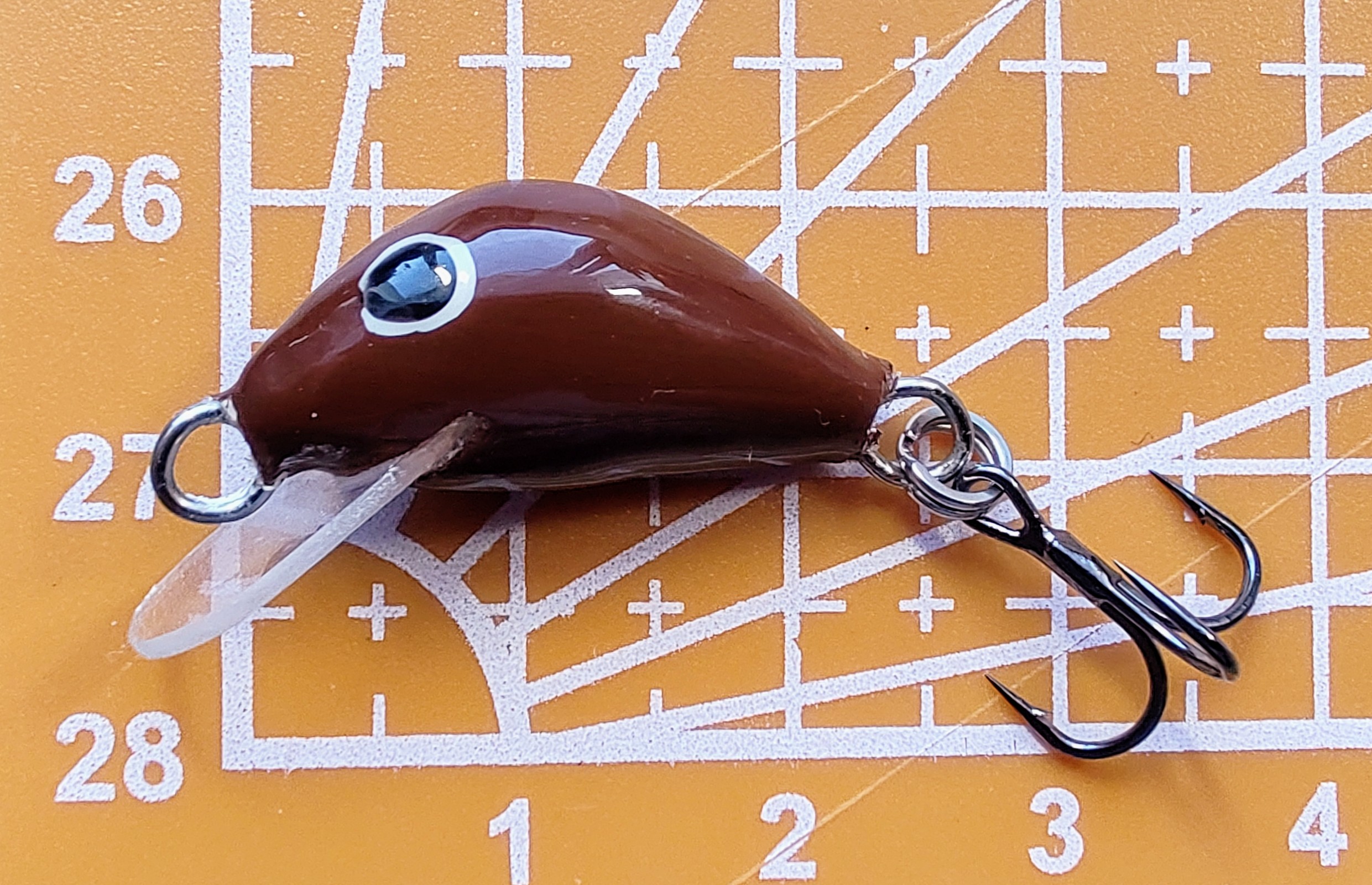 GK 8a.jpg
