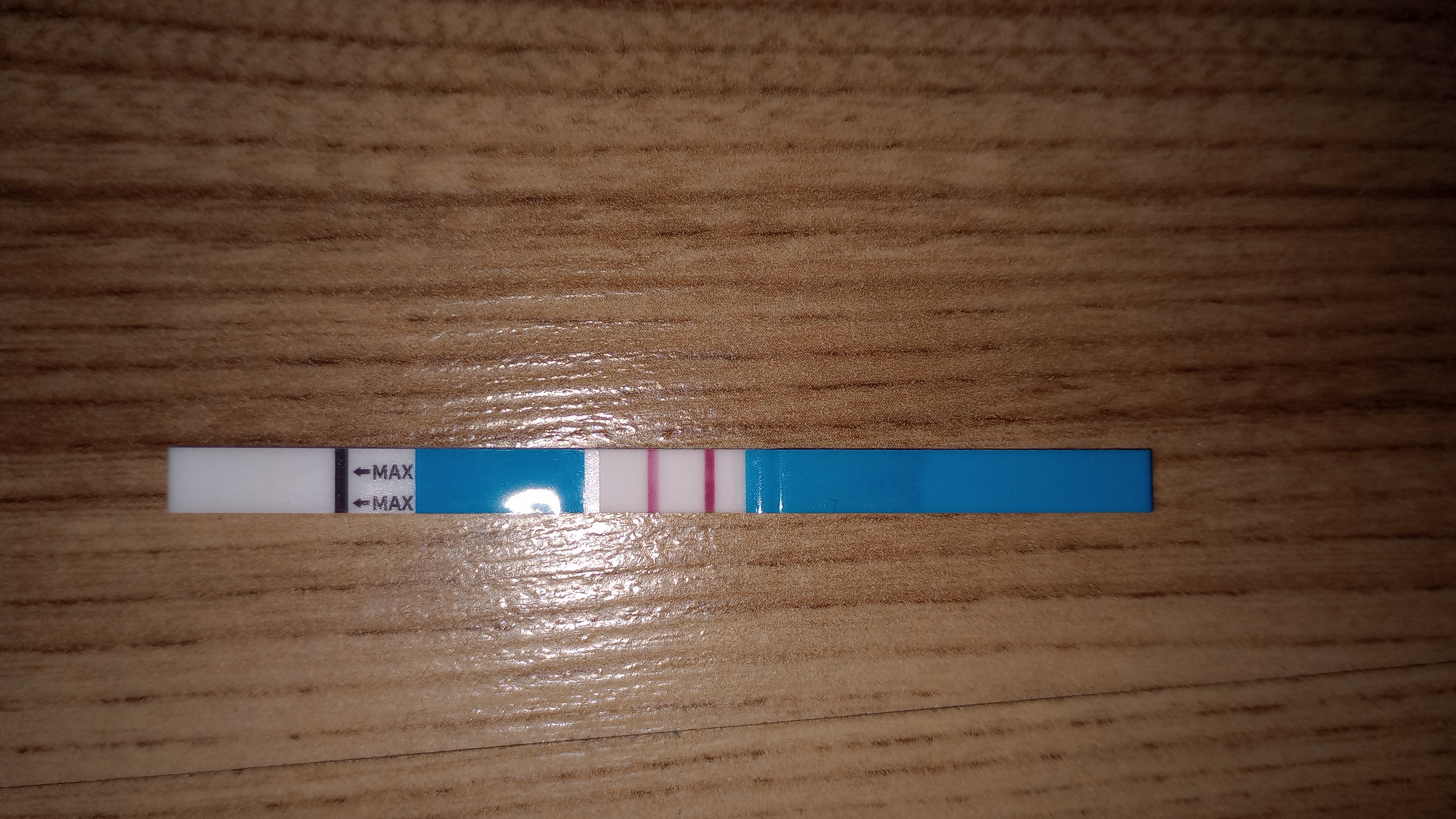 10dd9f052a170.jpg
