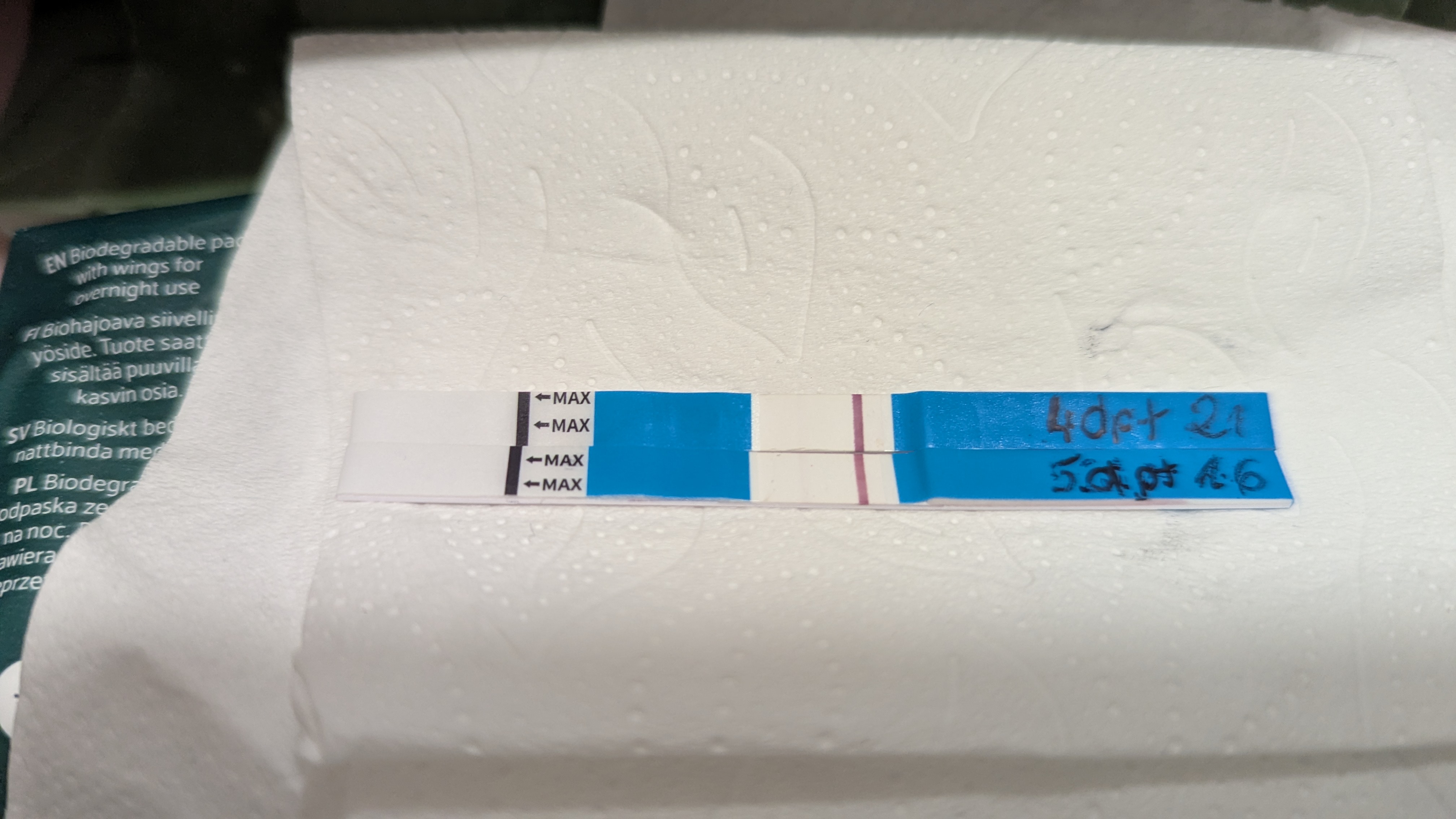 18a2421cc74e9.jpg