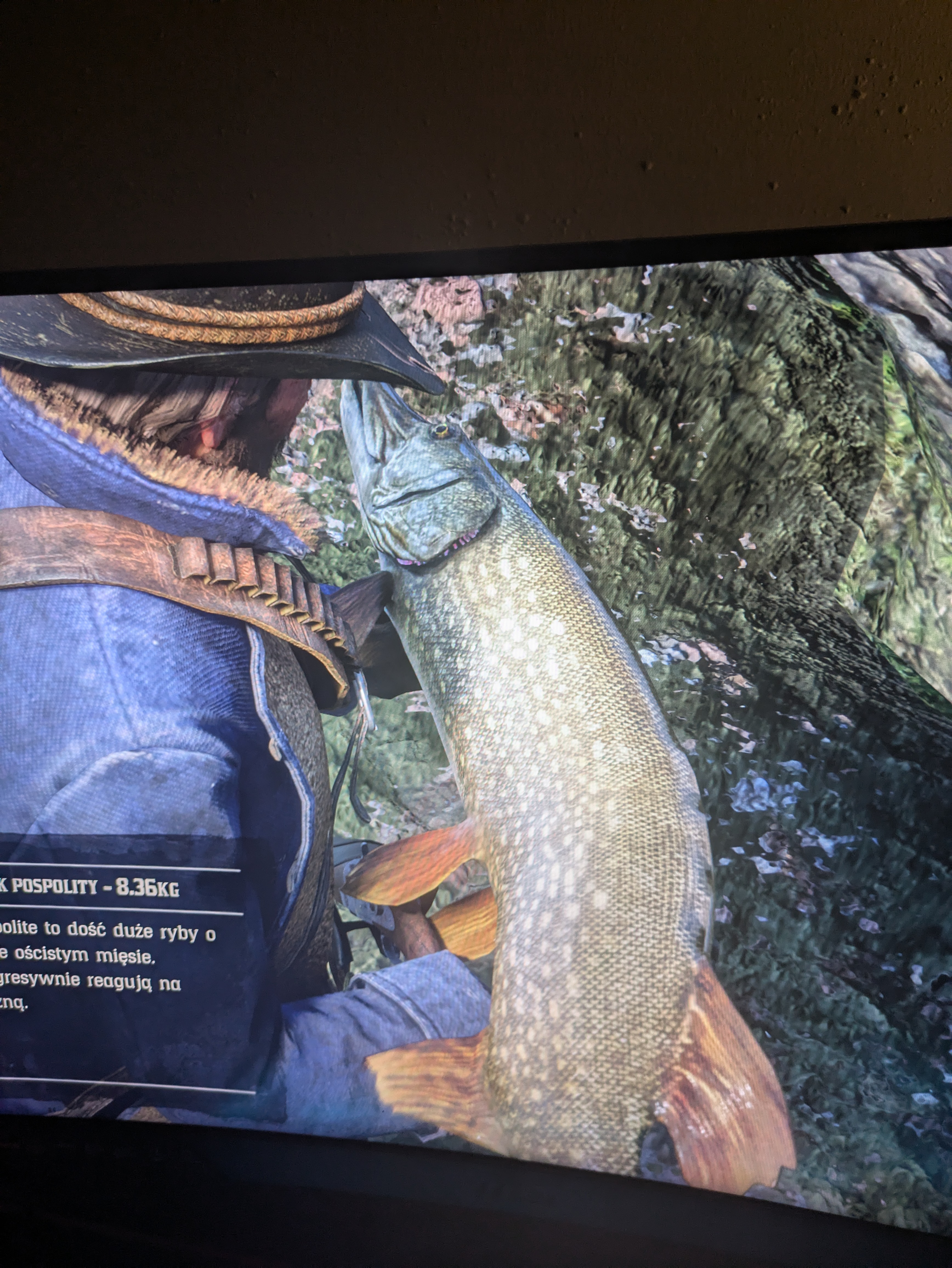 [Image: 19a3d9bcb39f9.jpg]