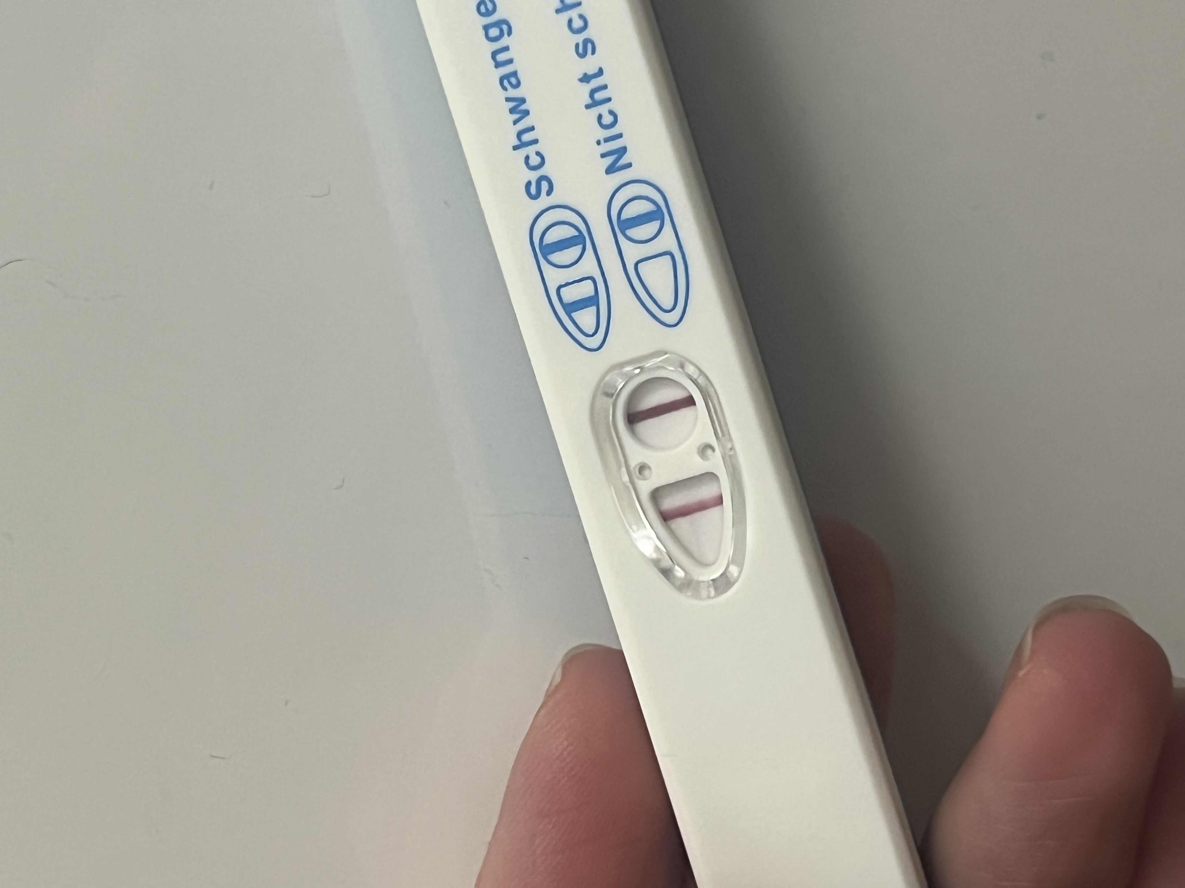 19a439b20dac6.jpg