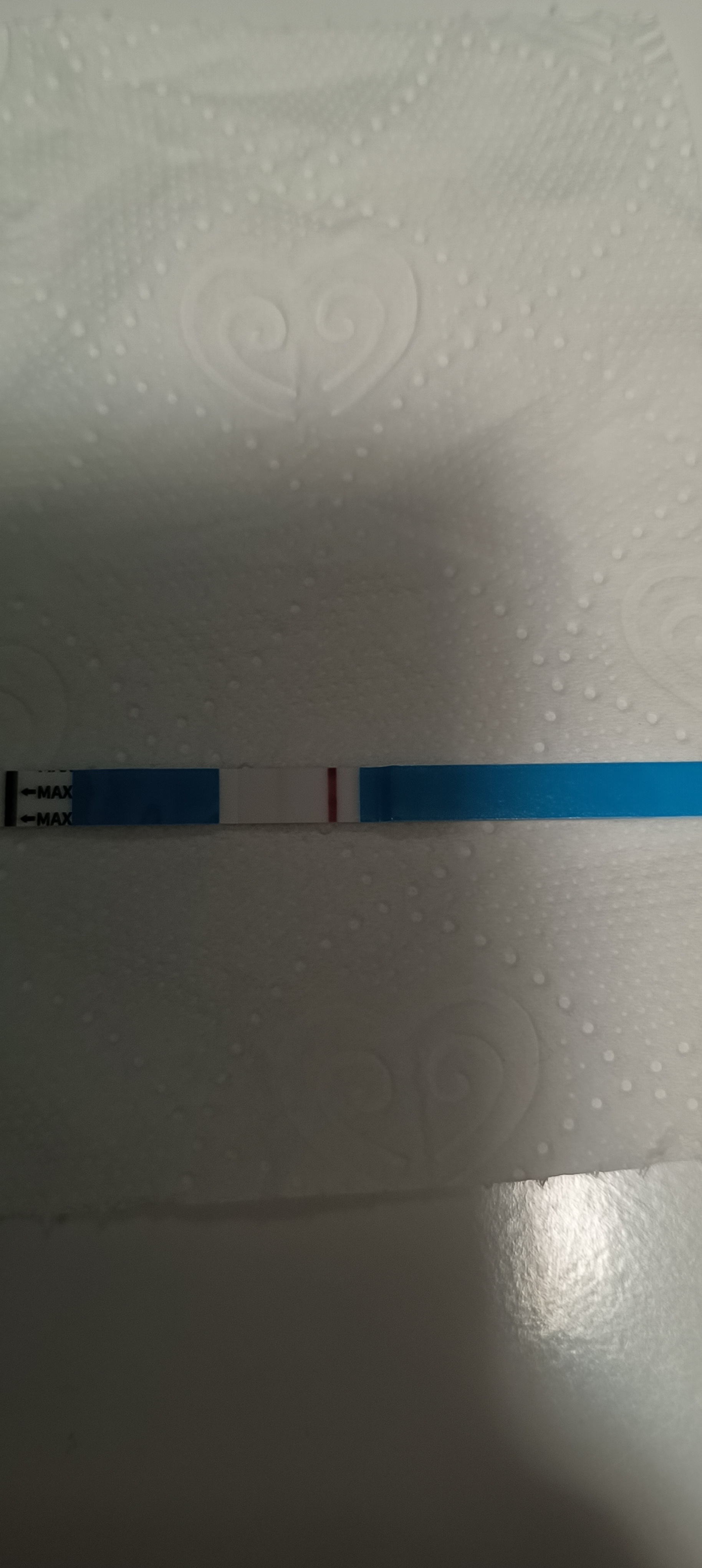 21f961c12fa81.jpg