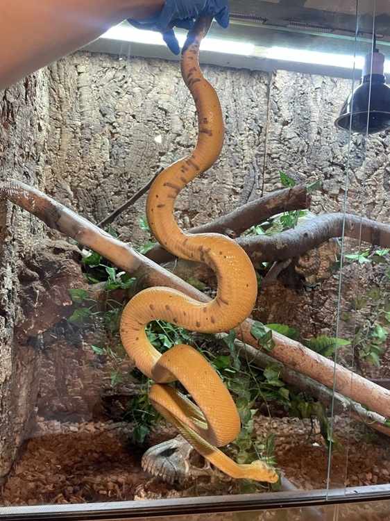 435cf41ed13d8.jpg