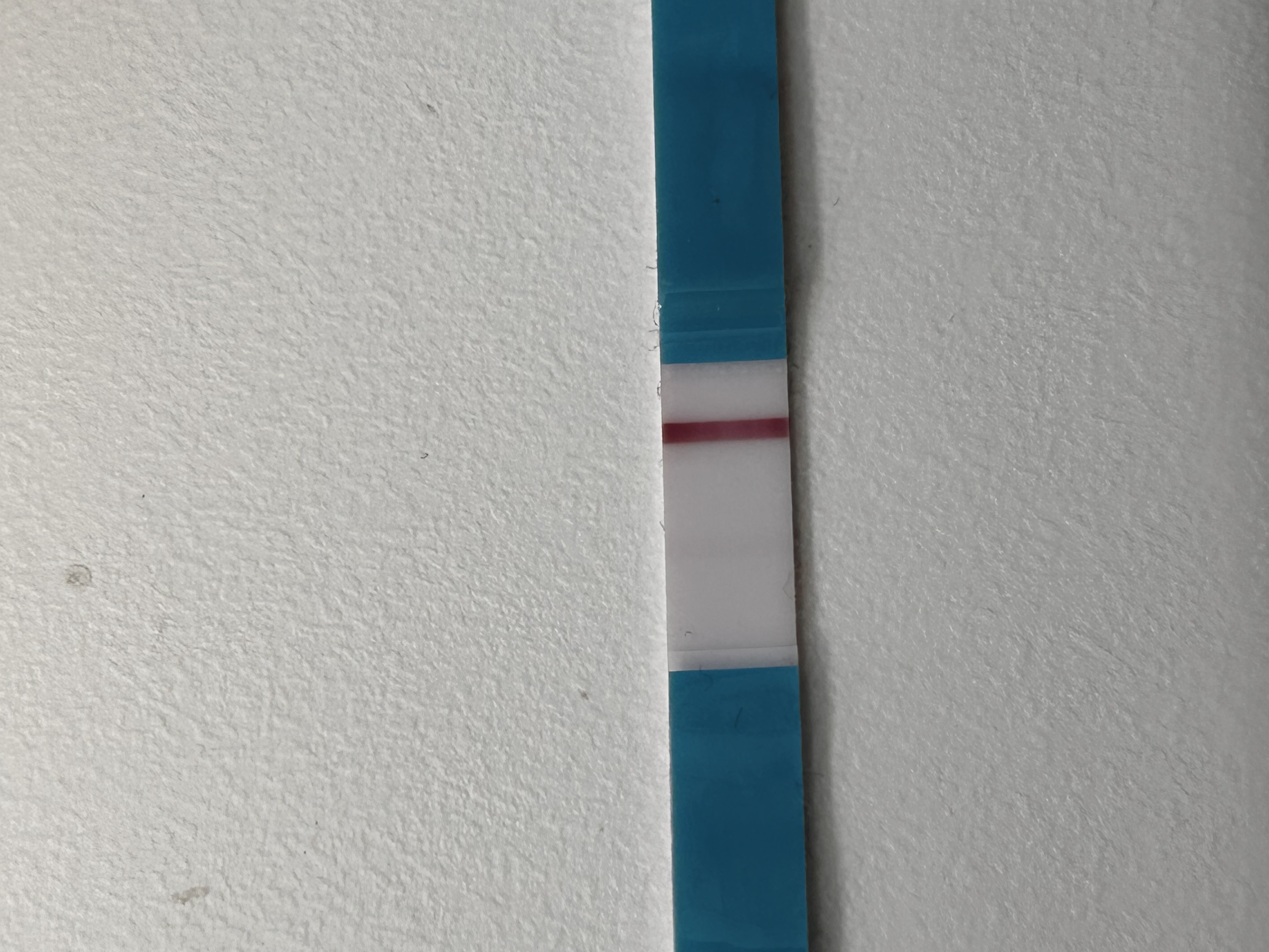 61d850972662f.jpg