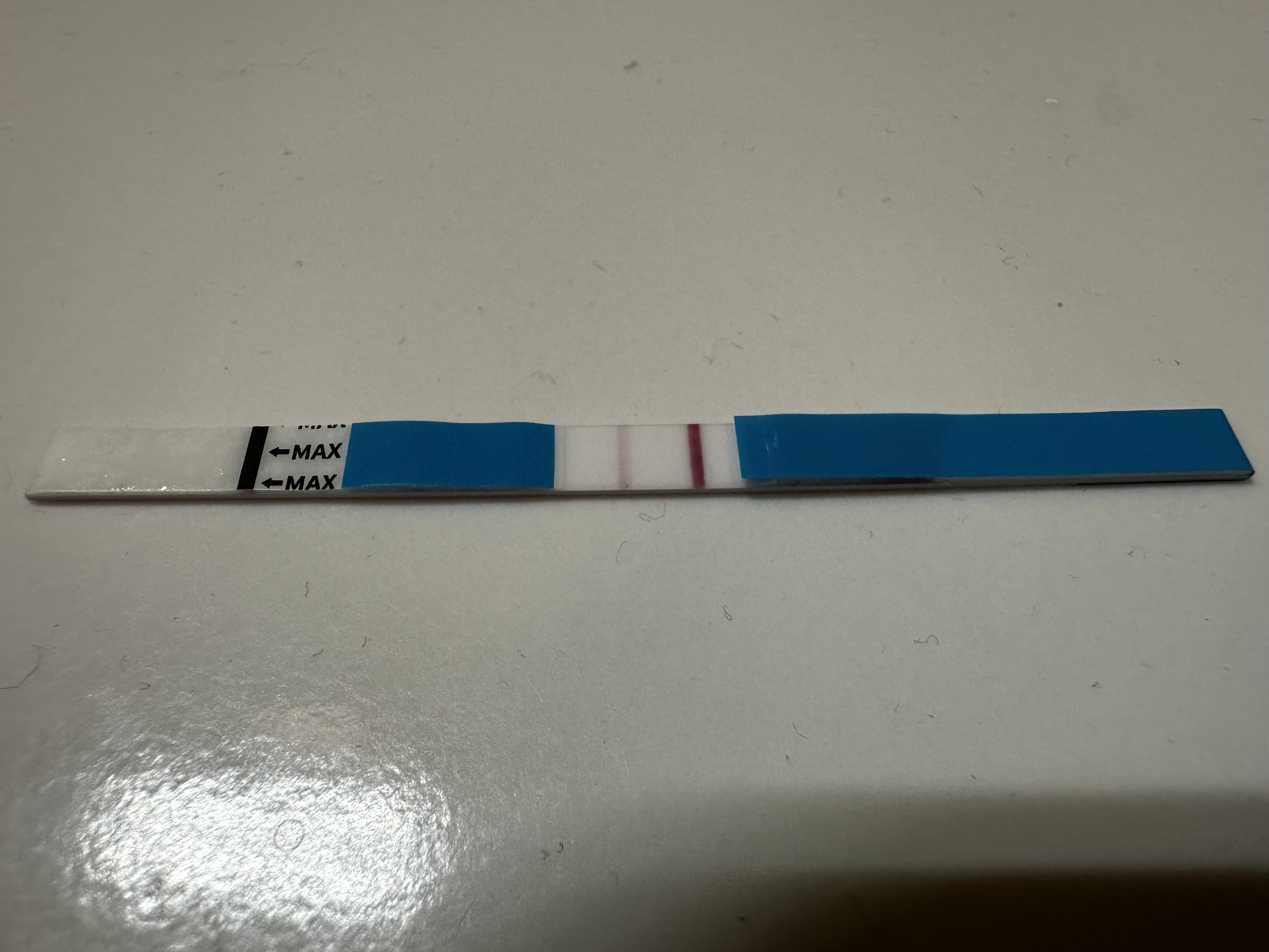 679ff3ed59b28.jpg