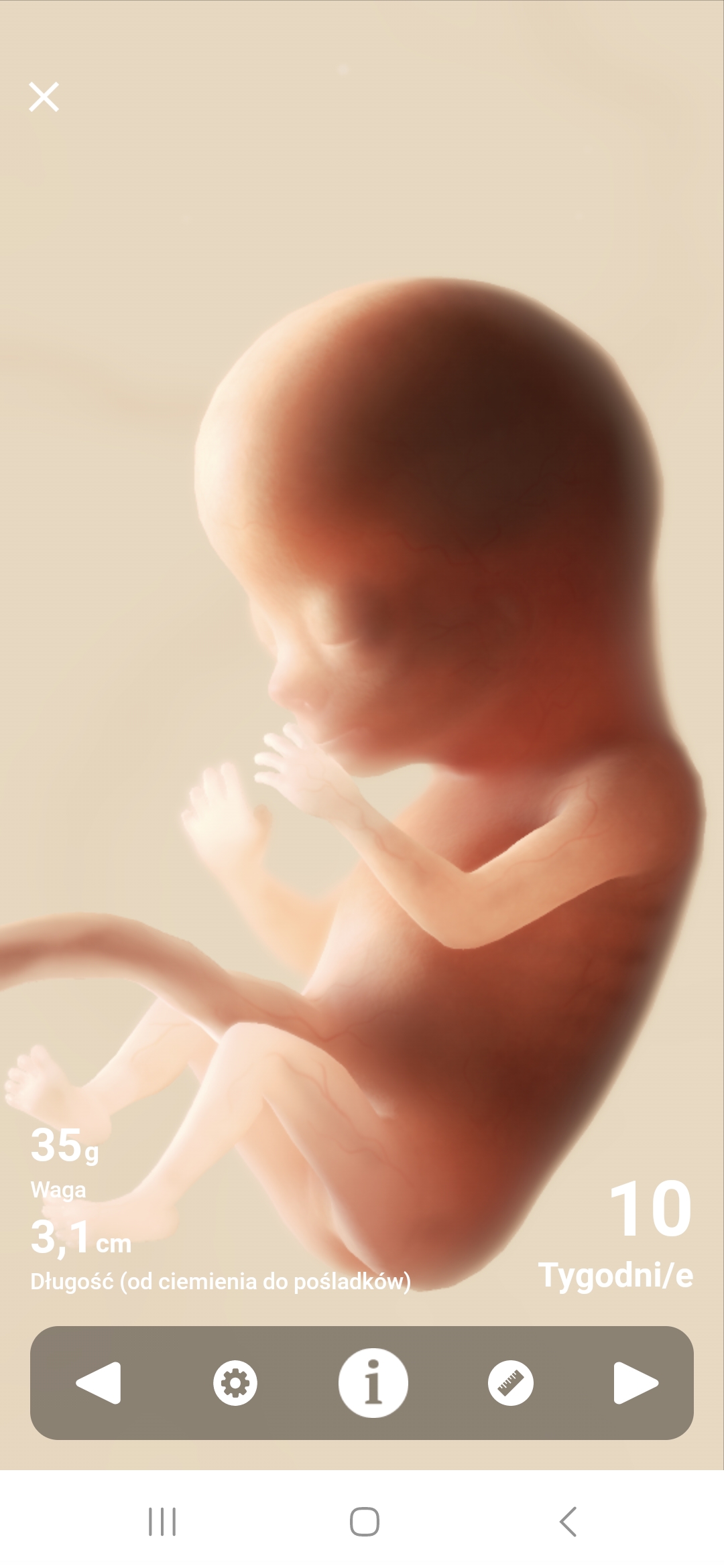 74f6f26a5c877.jpg