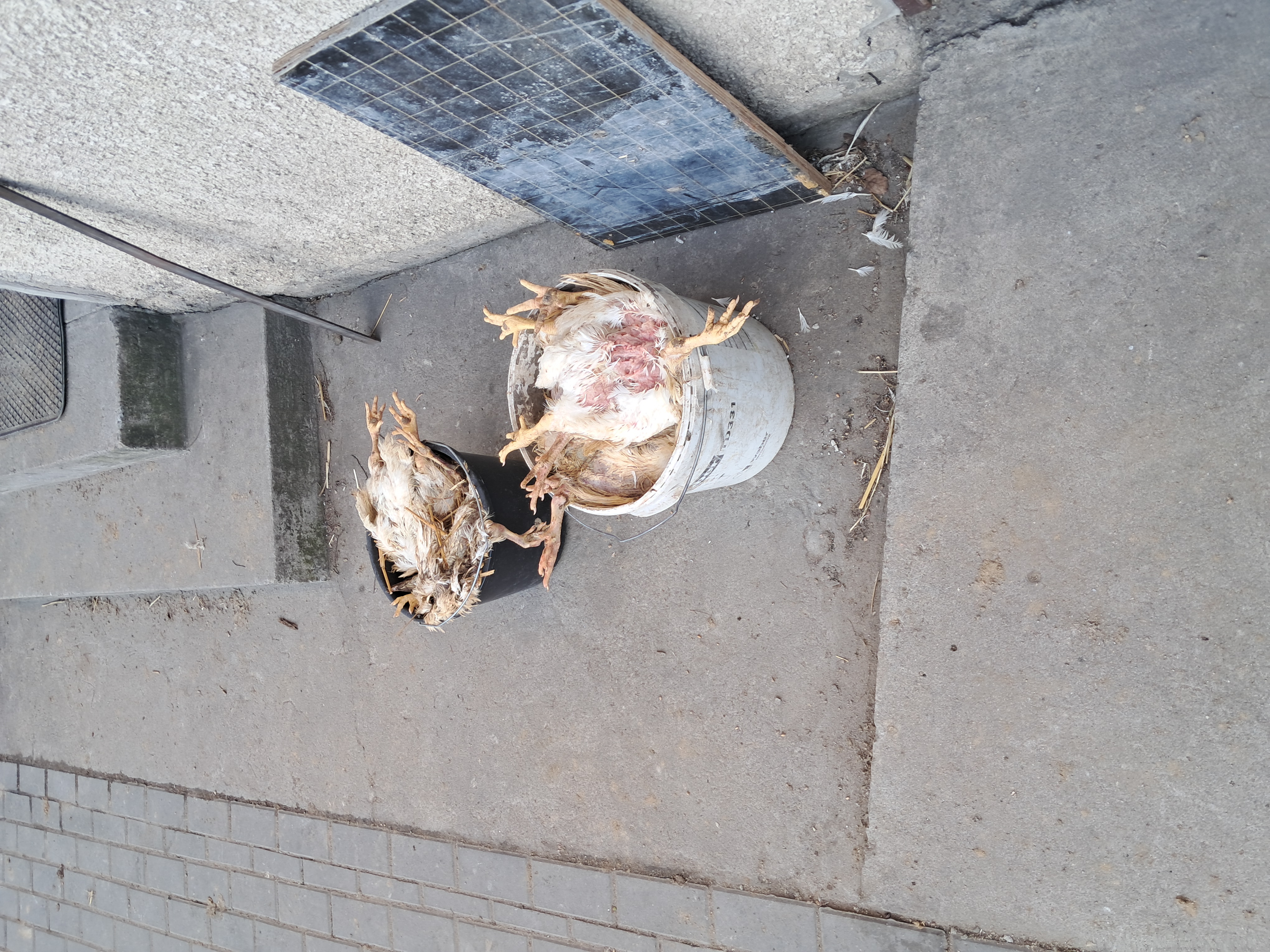 [Obrazek: 7eec9013c49e6.jpg]