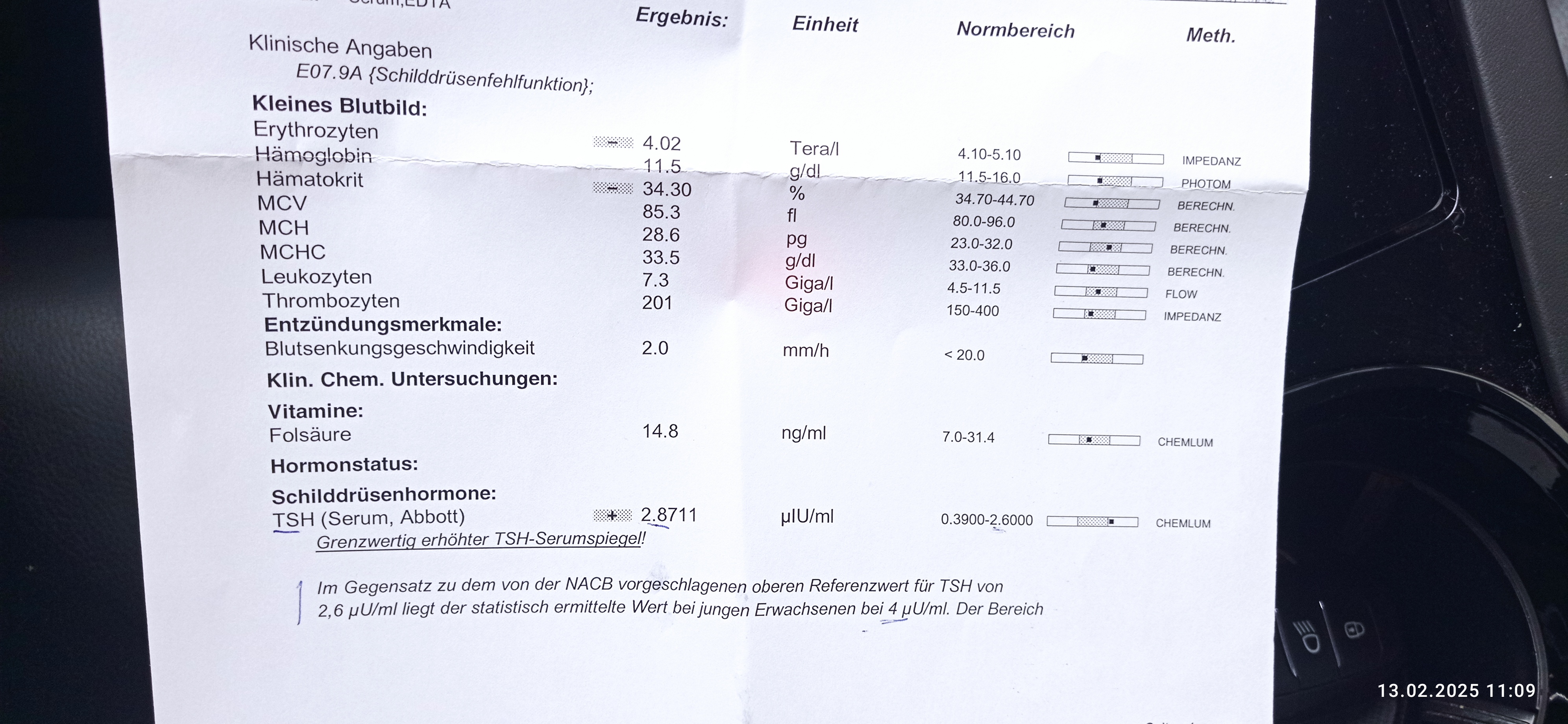 81e0623d91c0a.jpg