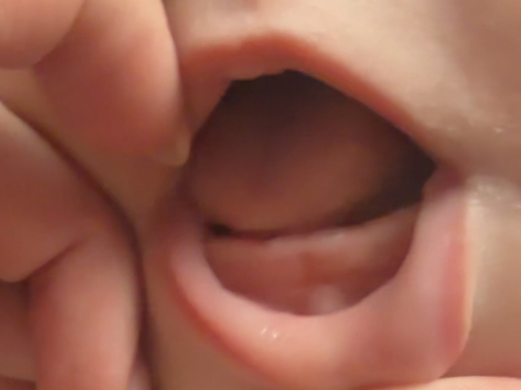 8faf55f9464fe.jpg