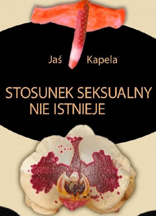 Stosunek Seksualny Nie Istnieje - Jaś Kapela