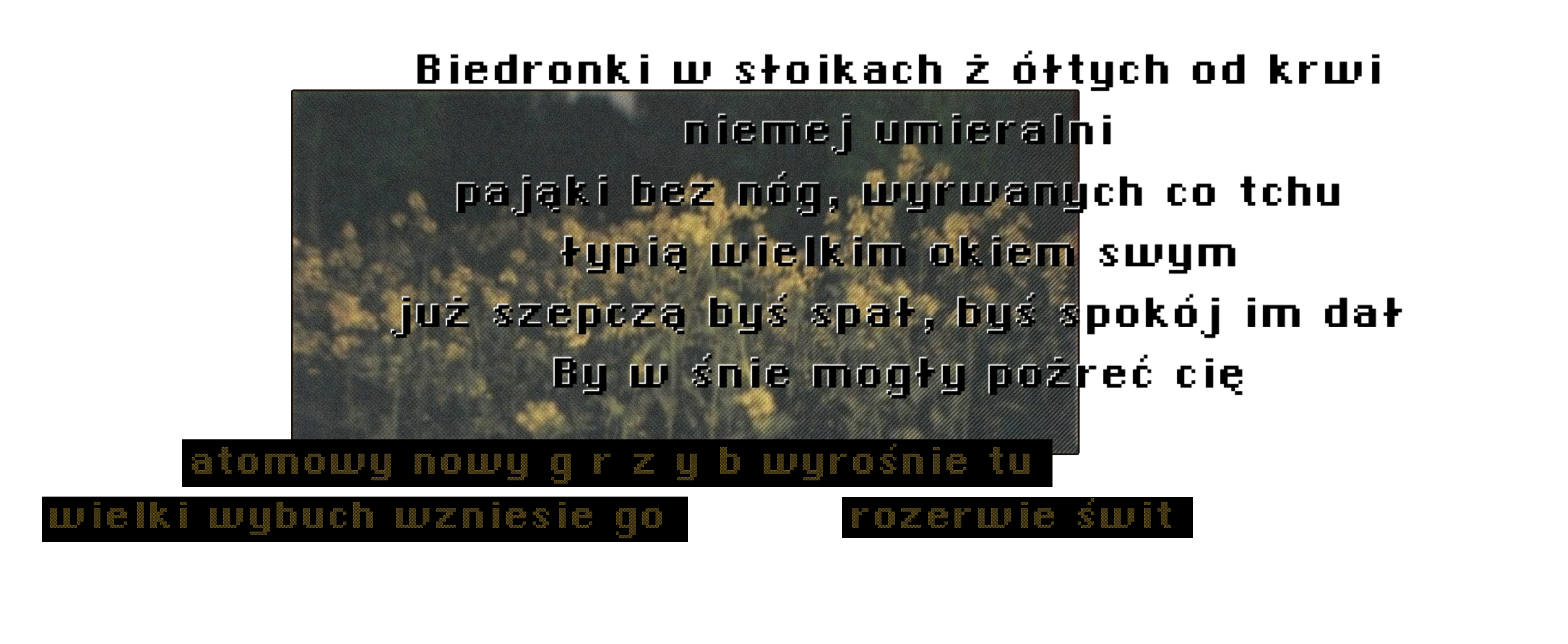 Obrazek