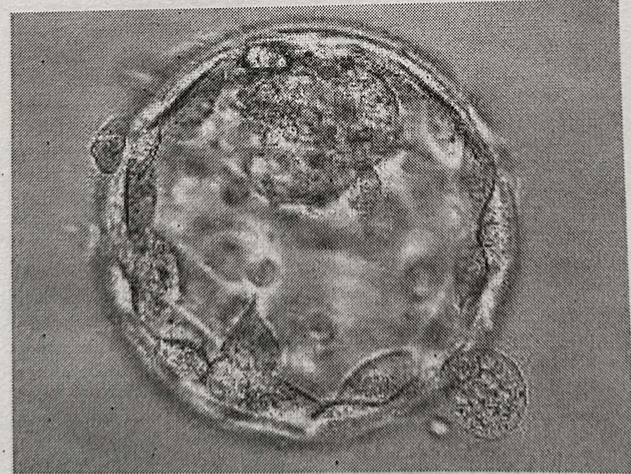 bdb027b04bc27.jpg