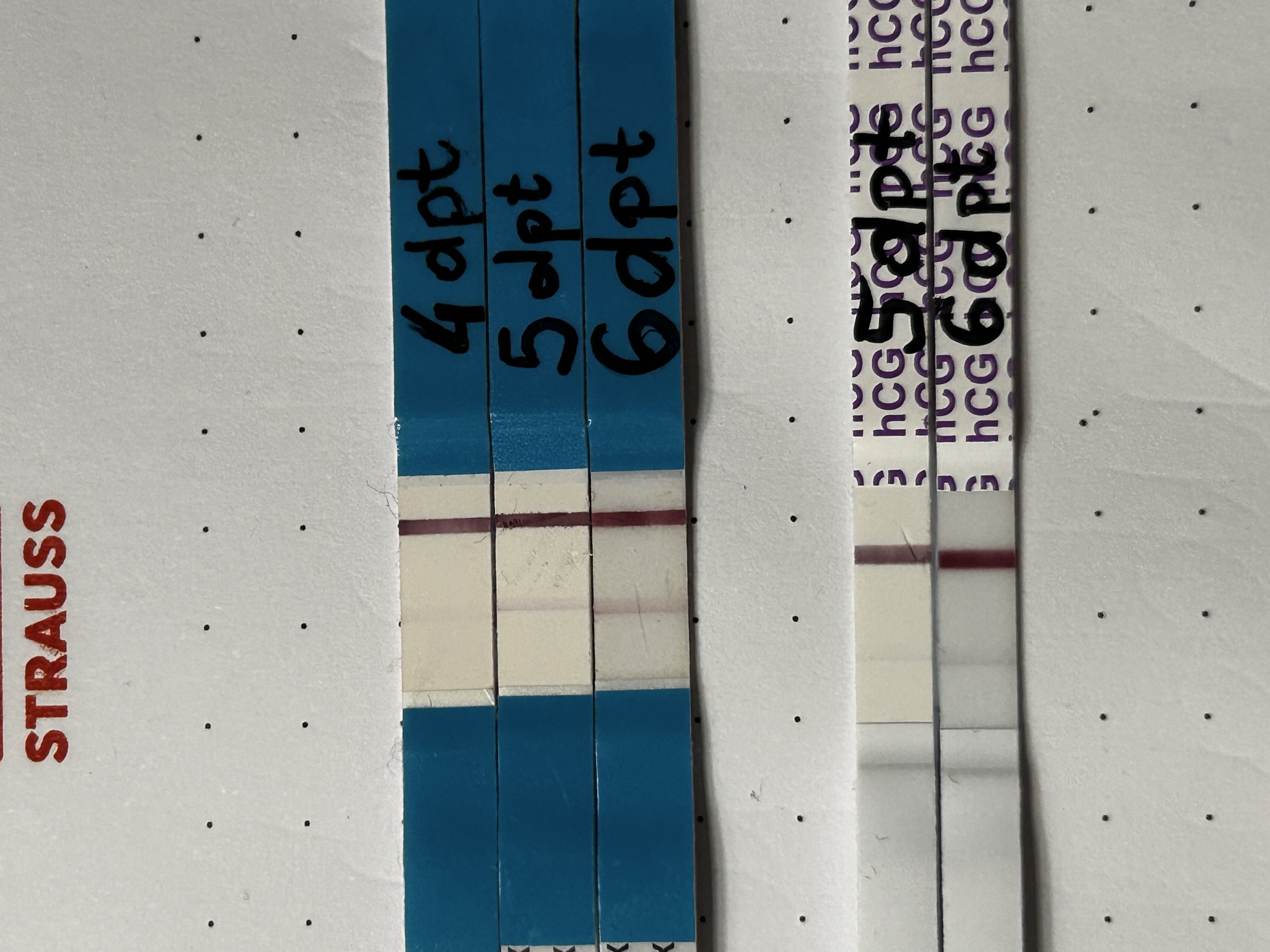 c41b32459e26d.jpg