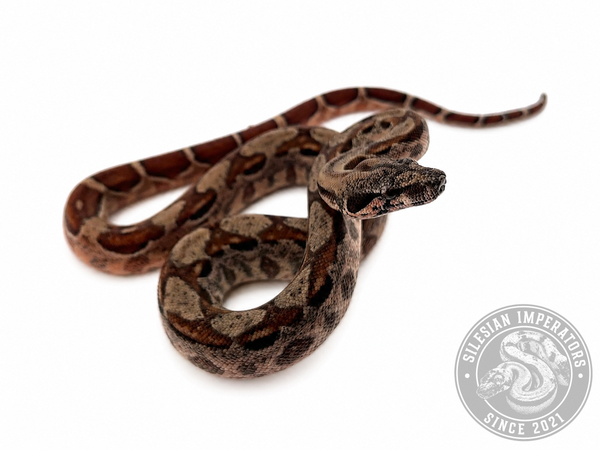c76f9355dee61.png