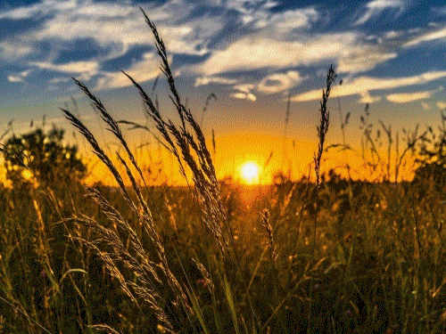 https://zapodaj.net/images/c81a886c099c4.gif