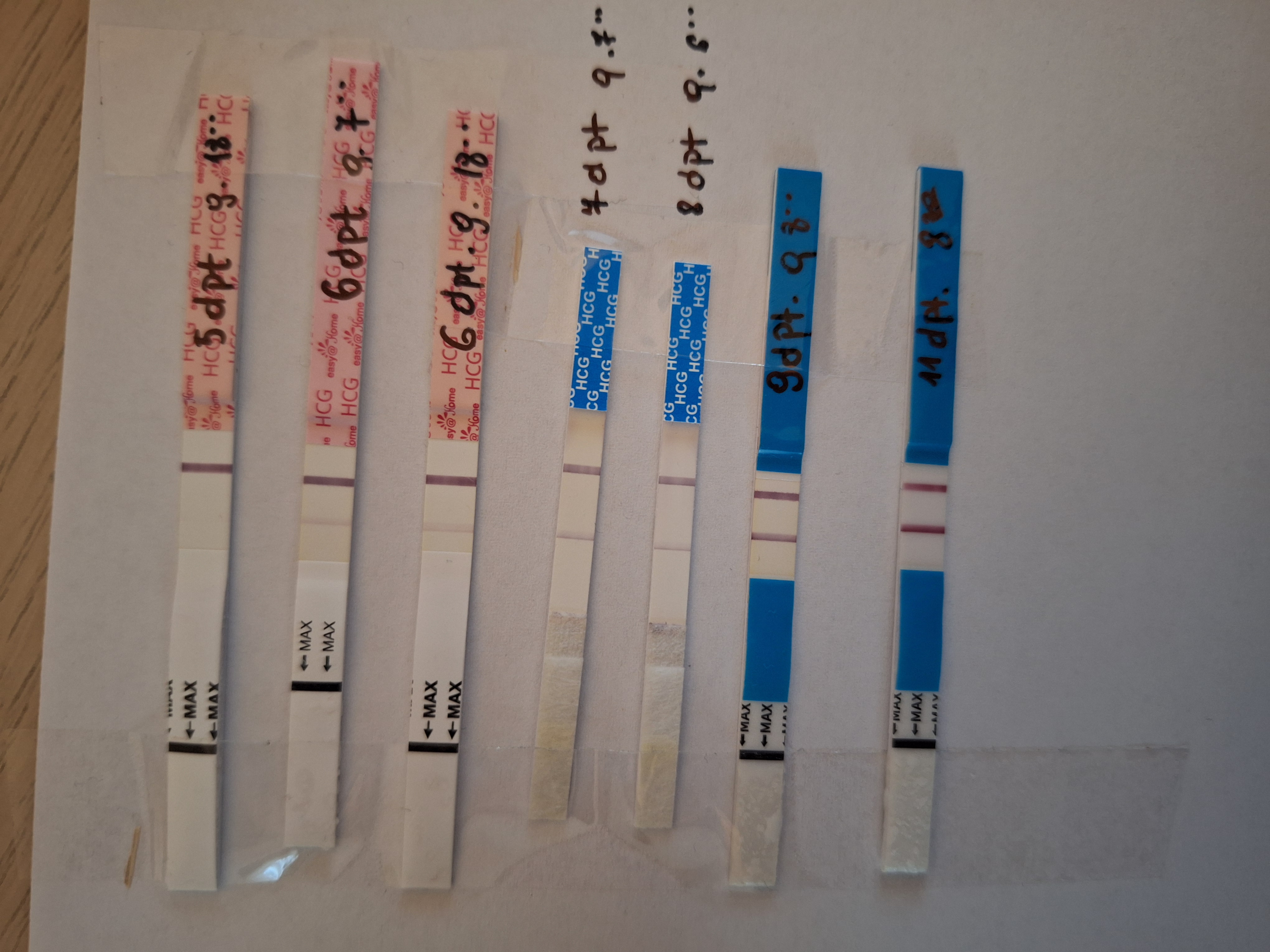 e1f841c0fc427.jpg