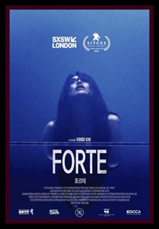 https://skosnooki-strach-recenzje.blogspot.com/2026/06/forte-korea-poudniowa.html