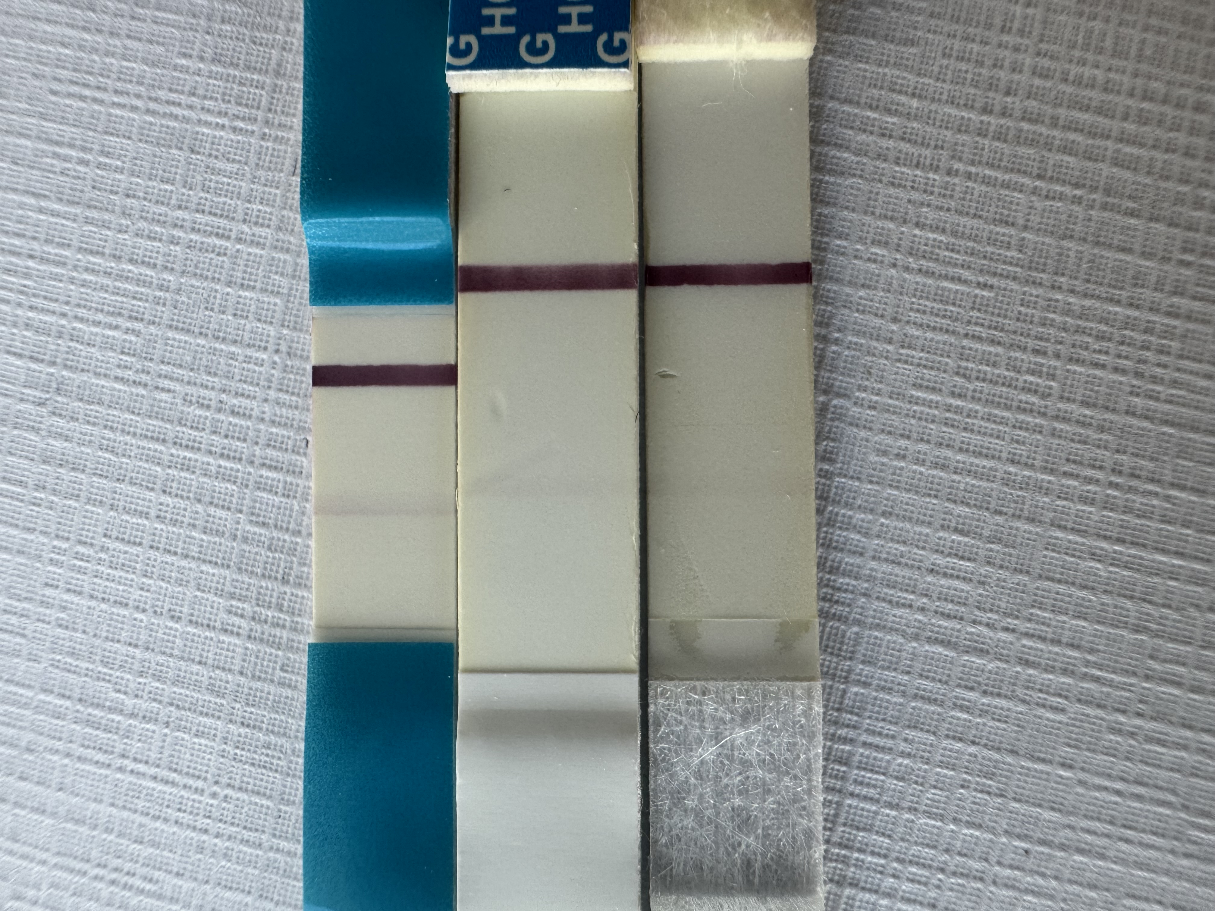 f62069de7b74e.jpg