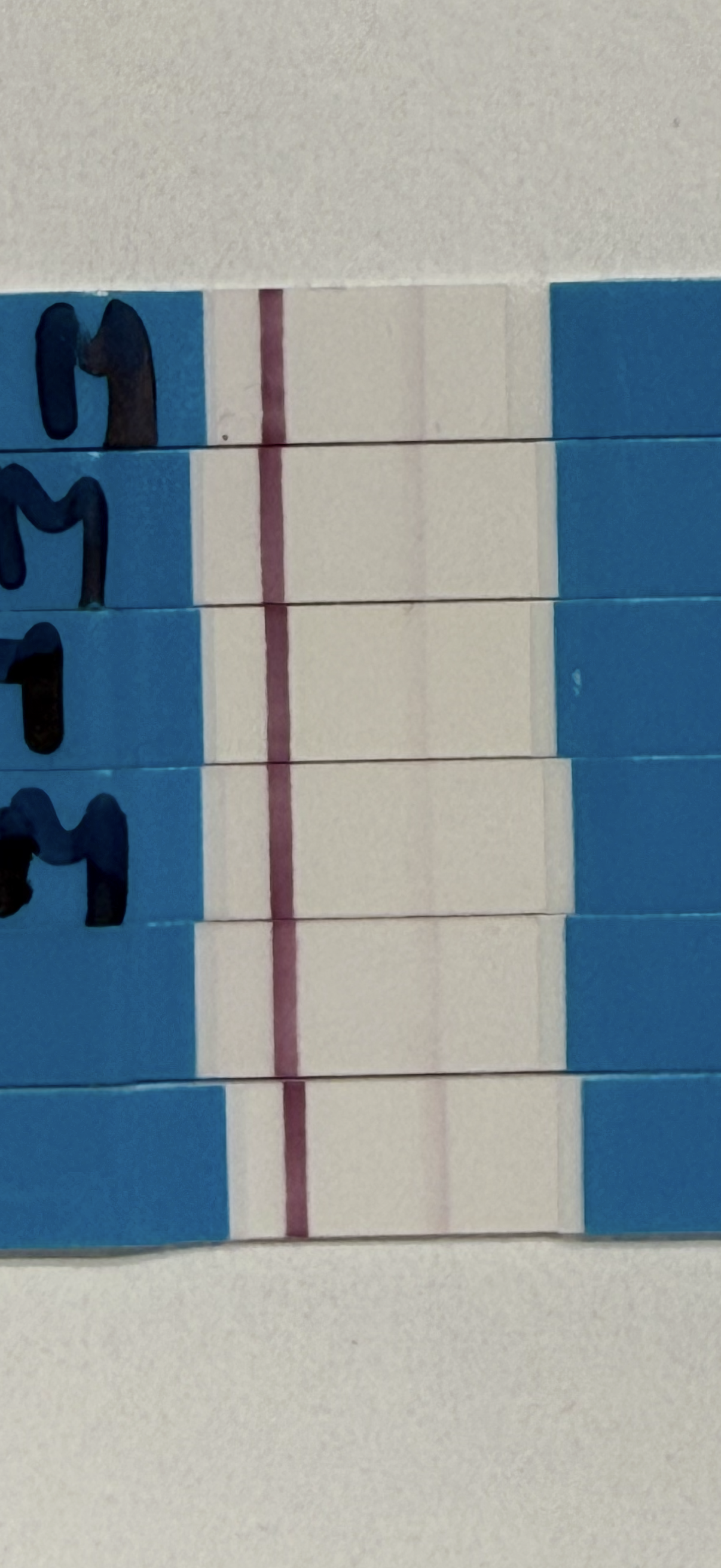 f65874d8816ab.png