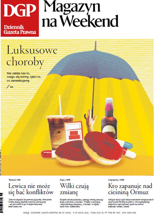 Dziennik Gazeta Prawna 17.07.2026